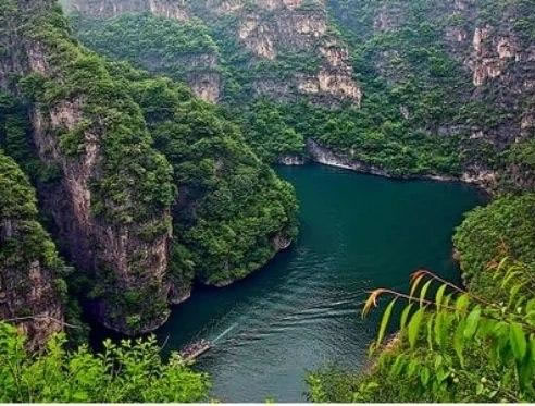 ���c�{�L���D