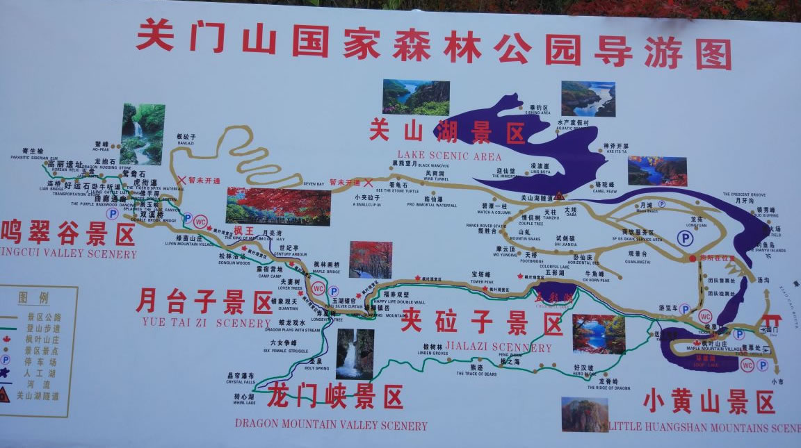 �P�Tɽ����ɭ�ֹ��@���ΈD