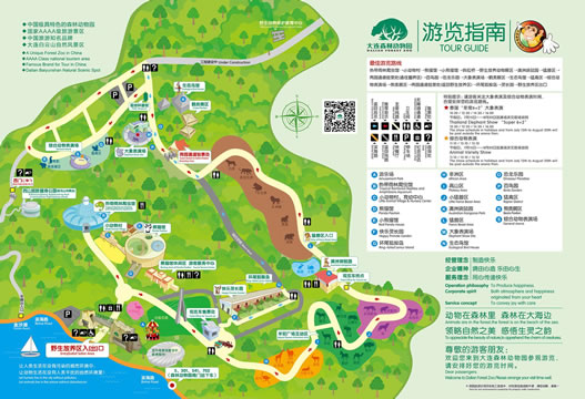 ���Bɭ�ք�(d��ng)��@��(d��o)�[�D