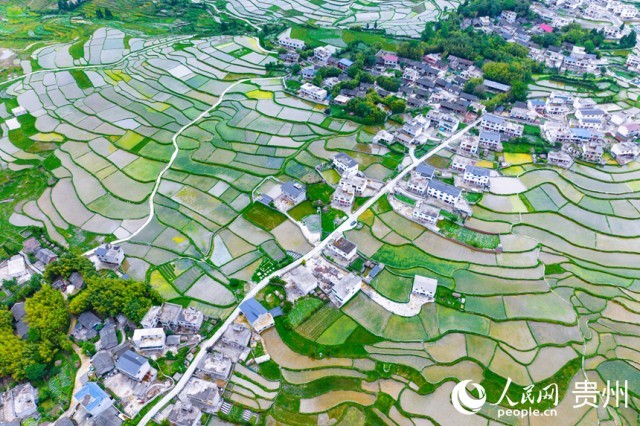 �����F��л�Ϫ�^(q��)��������������W(w��ng)ӛ�� Ϳ���z